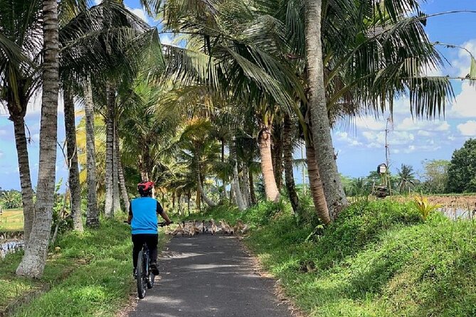 Ubud: Downhill Cycling with Volcano, Rice Terraces and Meal - Why the small group matters