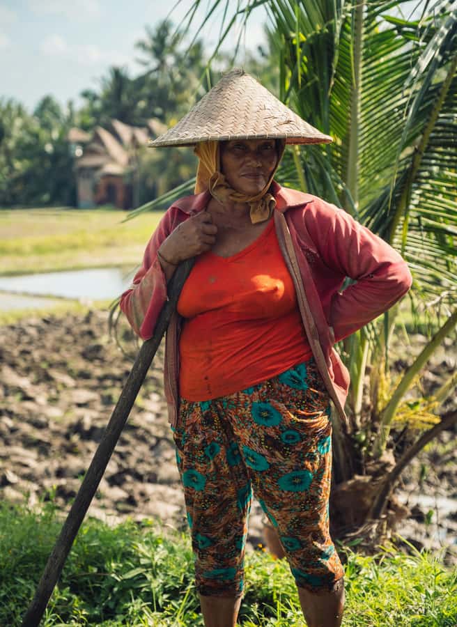 Ubud: Downhill Cycling with Volcano, Rice Terraces, and Meal - What the $36 price really includes