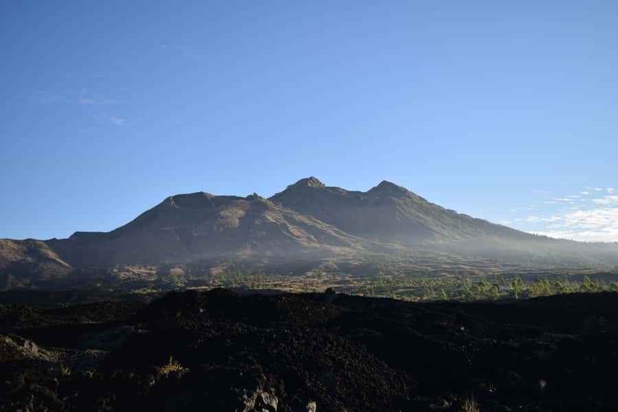 Ubud & Volcano Hot Springs Tours - Bali Temen Coffee Plantation and the expensive-coffee lesson
