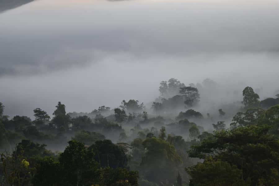 Ubud & Volcano Hot Springs Tours - Guide quality and the personal side of the day