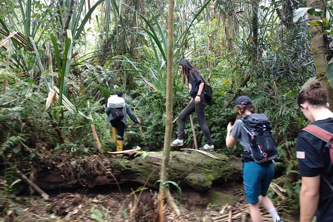 volcano hike and jungle trekking adventure - Waterfall swimming after the hike