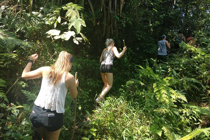 volcano hike and jungle trekking adventure - Geothermal hot springs and a slower finish