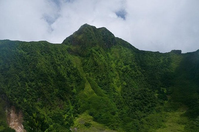 Volcano Hike in St. Kitts - Into the rainforest, where the trail becomes the attraction
