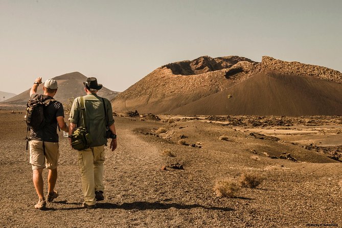 Volcano Hike - Timanfaya eruptions - Key points to know before booking