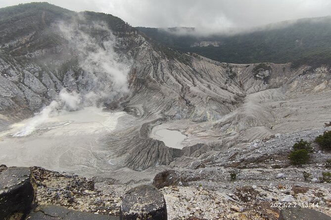 Volcano, Hot Spring, Tea Factory, rice fields and Coffee Tour - Rice fields and village life near Subang
