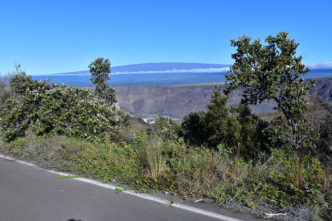 Volcano National Park Adventure From Kona - Kona coffee begins the morning