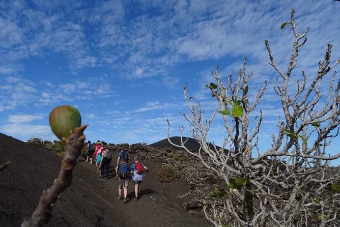 Volcano Trekking Tour (Timanfaya eruptions) - The 9:30 start and hotel pickup