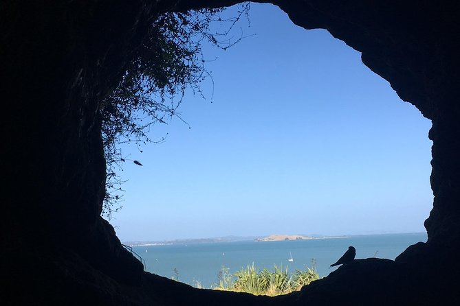 Volcanoes, Coasts, and Secret Spots Afternoon Tour in Auckland - Why this tour gives Auckland a useful sense of place