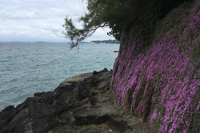 Volcanoes, Coasts, and Secret Spots Afternoon Tour in Auckland - Takapuna to Milford: lava beneath your feet