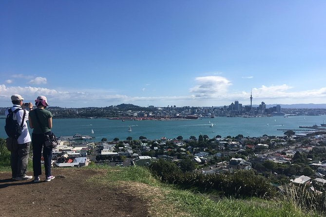 Volcanoes, Coasts, and Secret Spots Afternoon Tour in Auckland - A 2 pm start that works well after arrival