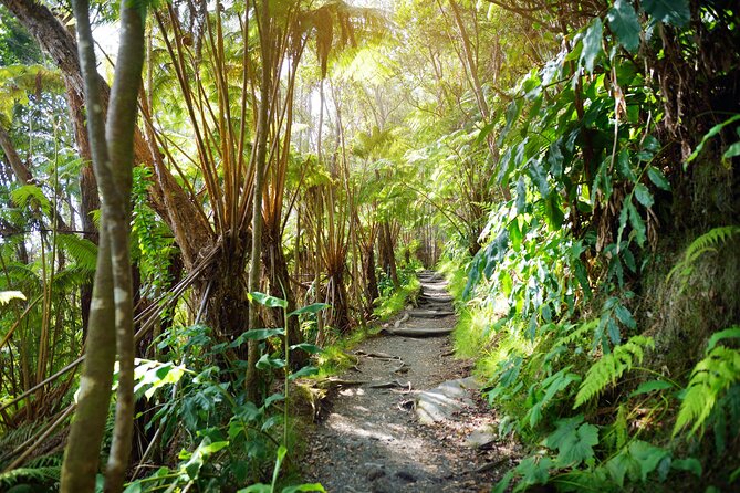 Volcanoes National Park: Guided, Small-Group Hike - Thurston Lava Tube, a short passage with a big story