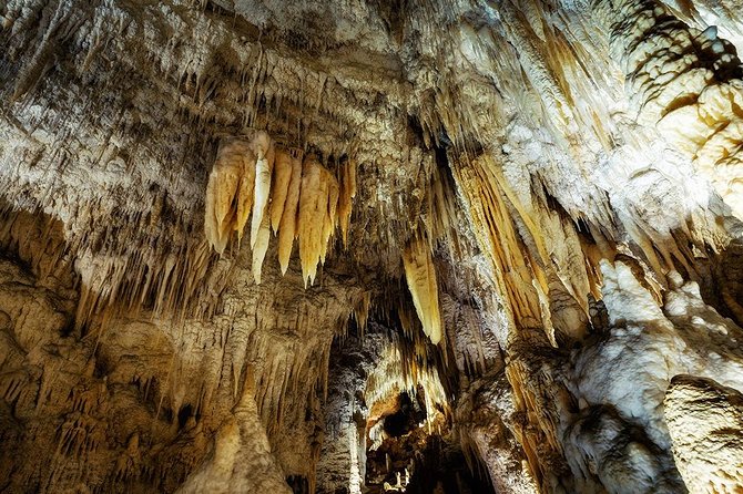 Waitomo Caves & Rotorua - Te Puia Small-Group Tour from Auckland - Pirongia and Otorohanga: small stops with local flavor