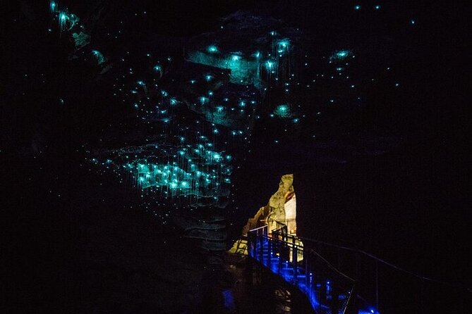 Waitomo Glow Worm Caves & Te Puia - Rotorua's Geothermal Valley - Te Puia and the heat of Rotorua