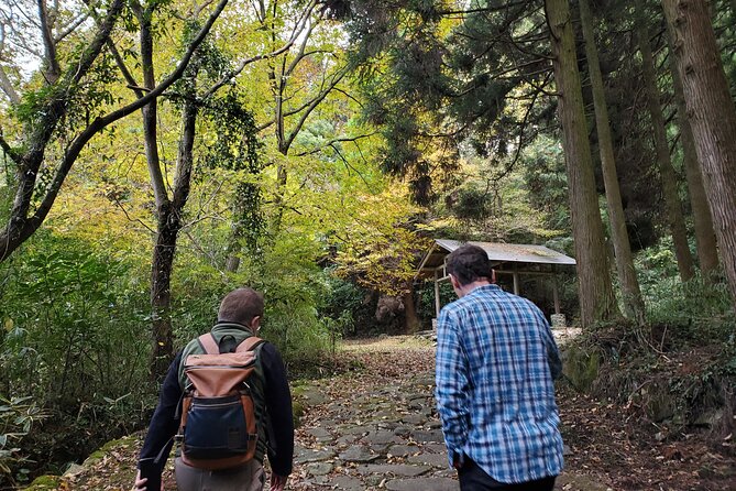 Walking through the Aso Caldera, Historical Walk along the "Bungo Kaido" - Why this Aso walk feels different from a lookout stop