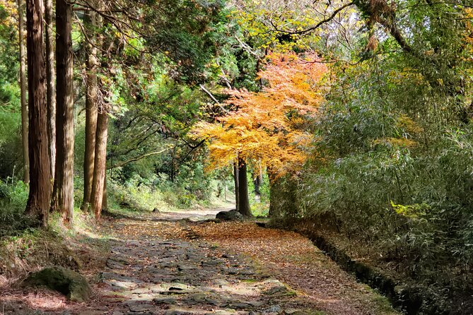 Walking through the Aso Caldera, Historical Walk along the "Bungo Kaido" - Tea, Aso yogurt, and a pause in the grasslands