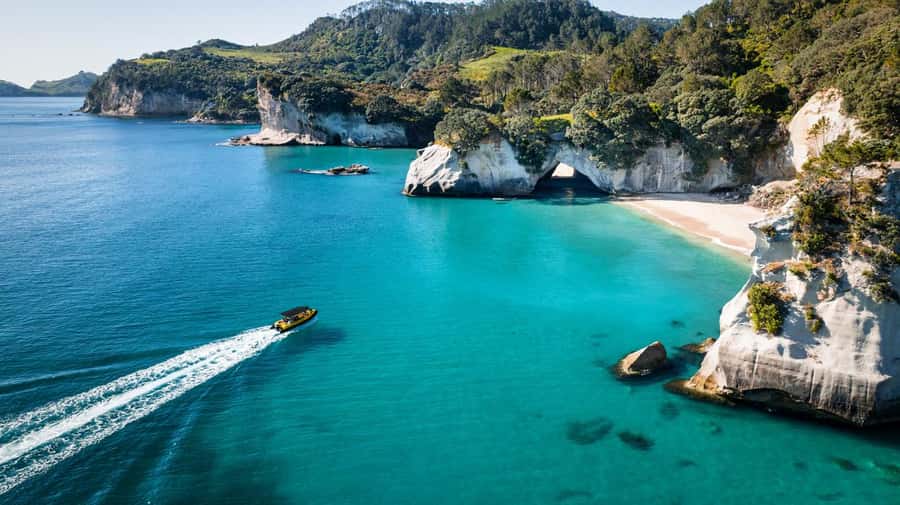 Whitianga: 2-Hour Cathedral Cove and Volcanic Coast Cruise - Should you book the Cathedral Cove cruise?