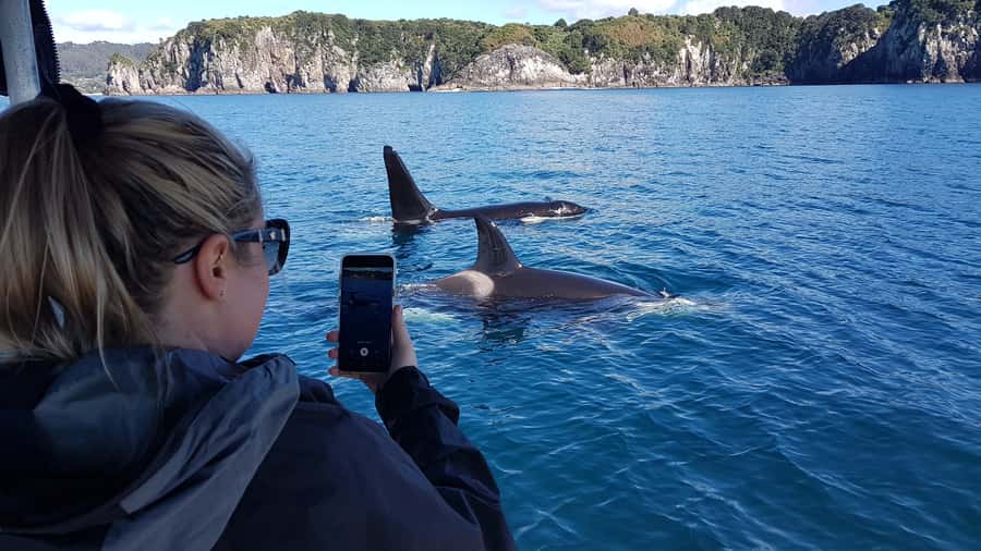 Whitianga: 2-Hour Cathedral Cove and Volcanic Coast Cruise - Why Cathedral Cove works so well from a boat
