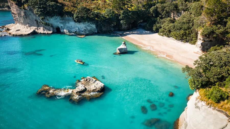 Whitianga: 2-Hour Cathedral Cove and Volcanic Coast Cruise - The guides make the difference