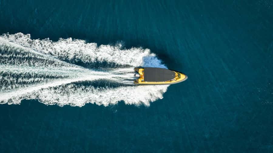 Whitianga: 2-Hour Cathedral Cove and Volcanic Coast Cruise - Wildlife sightings: a bonus, not the reason to book