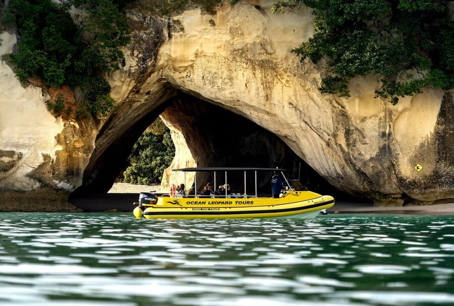 Whitianga: 2-Hour Cathedral Cove and Volcanic Coast Cruise - Is $83 good value?