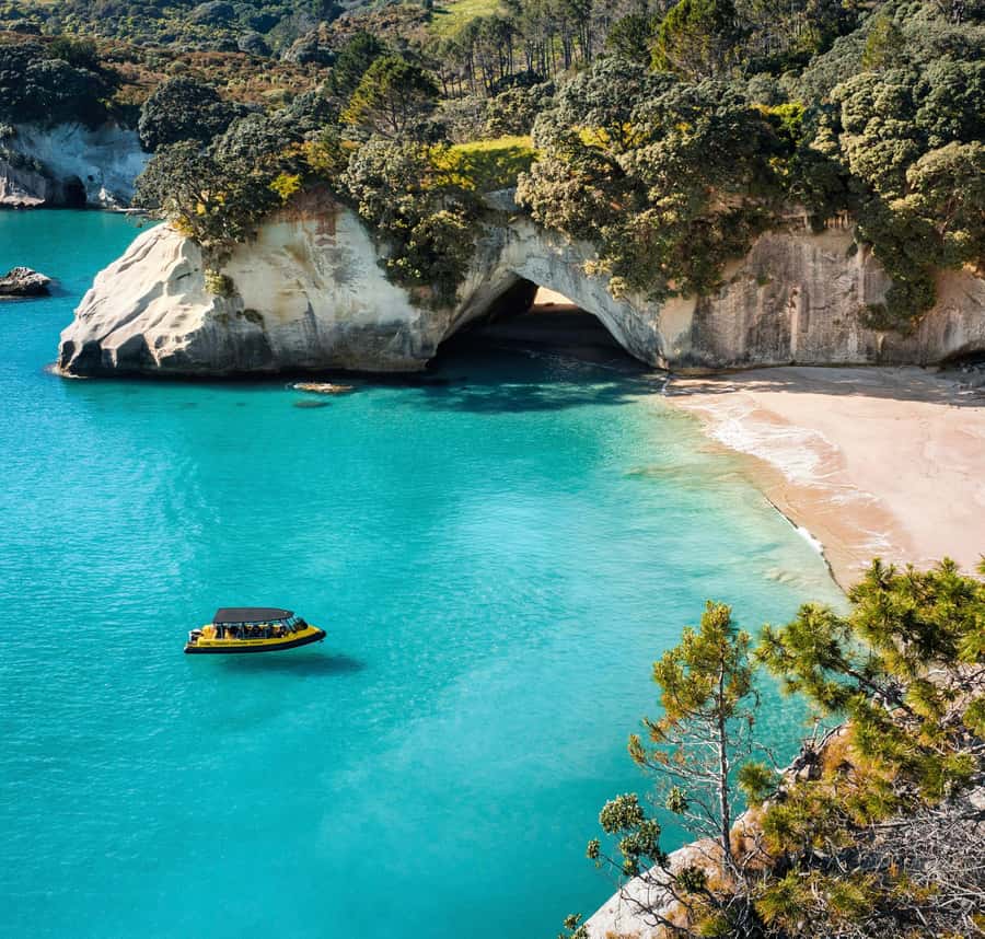 Whitianga: 2-Hour Cathedral Cove and Volcanic Coast Cruise - Practical details at Whitianga Wharf