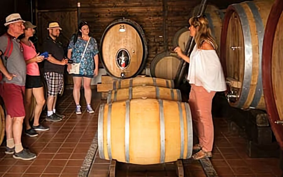 Wine Tasting Experience on the slopes of Vesuvius - Small groups, languages, and comfort
