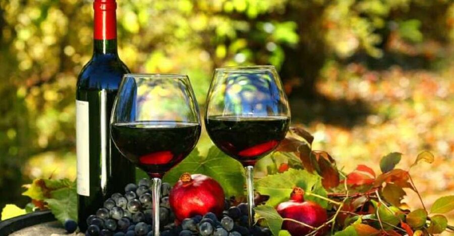 Wine Tasting Experience on the slopes of Vesuvius - Walking through Vesuvius vineyards