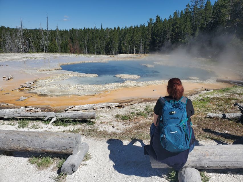 Yellowstone: Upper Geyser Basin Hike with Lunch - Wildlife along the geothermal trails