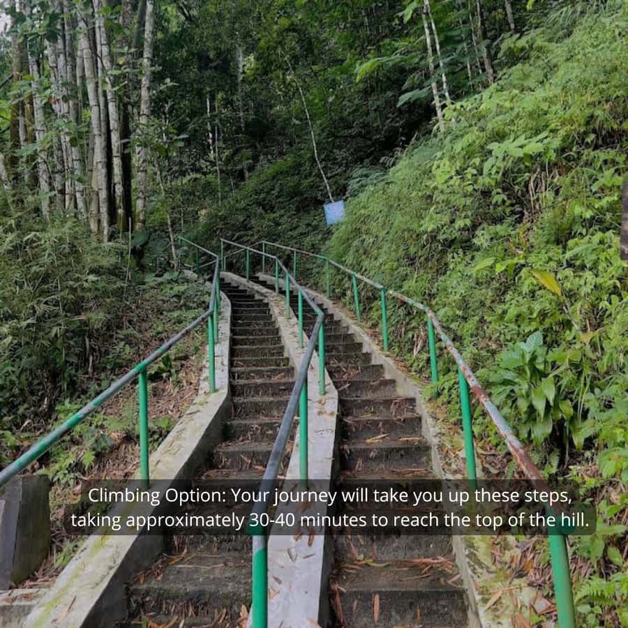 Yogyakarta Volcano: Merapi Volcano on Hilltop (Lava Viewing) - What is included for $23
